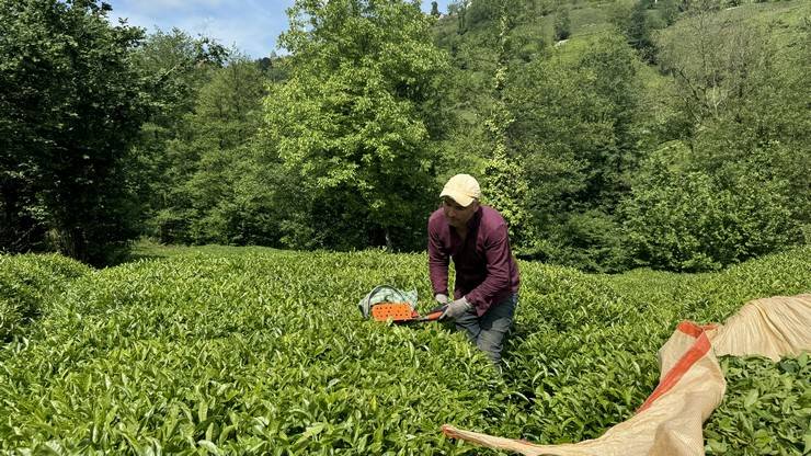 Bu mahallede "Fadimeler" çeyrek asırdır yük taşımıyor 14