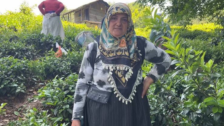 ‘Z’ kuşağının ilgisiz olduğu çayda işçi sorununa 'şarjlı makaslı' çözüm 7