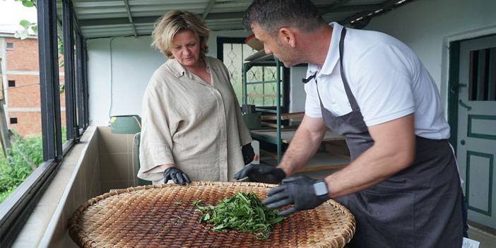 Hollanda’dan Rize’ye gelip çayın üretim aşamalarını gördüler