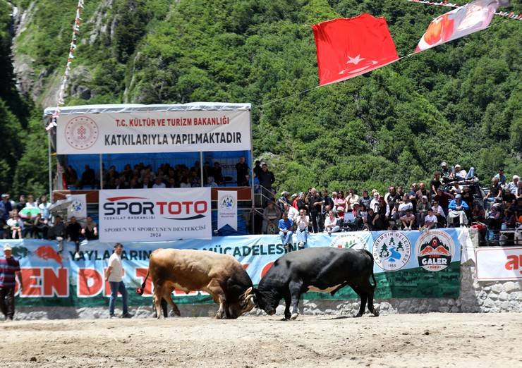 Rize'de "28. Çamlıhemşin Ayder Kültür, Sanat ve Doğa Festivali" sona erdi 4