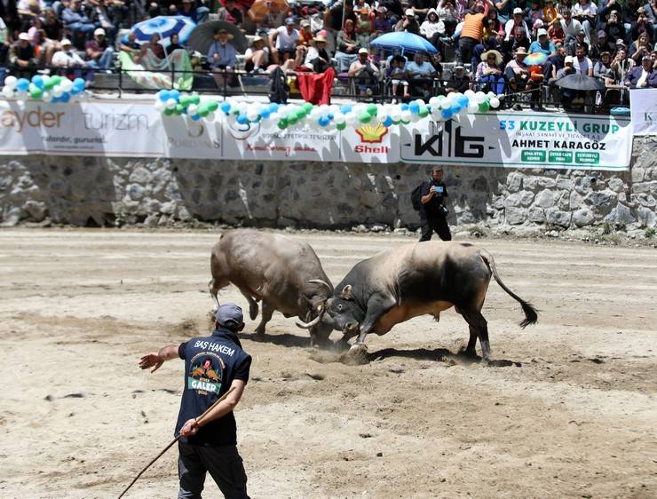 Rize'de "28. Çamlıhemşin Ayder Kültür, Sanat ve Doğa Festivali" sona erdi 8