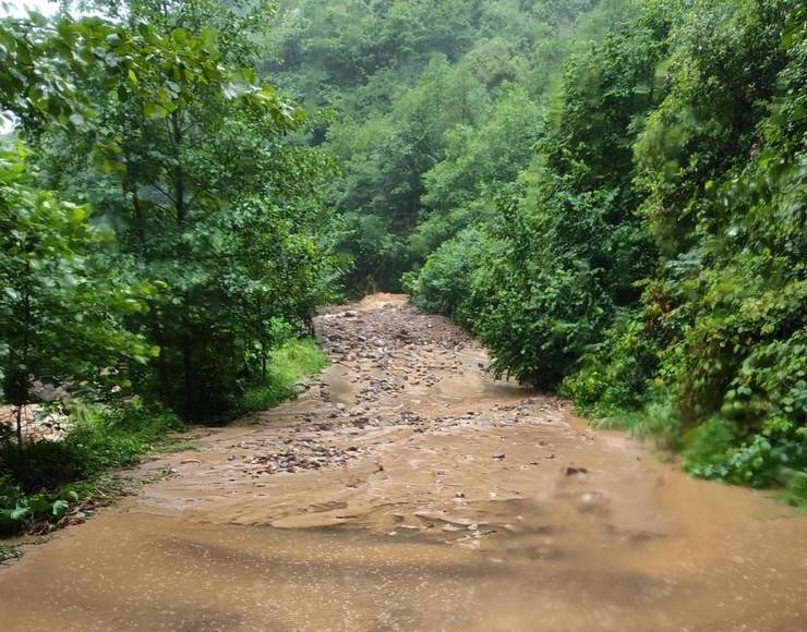 Artvin'de şiddetli yağış etkili oldu 14