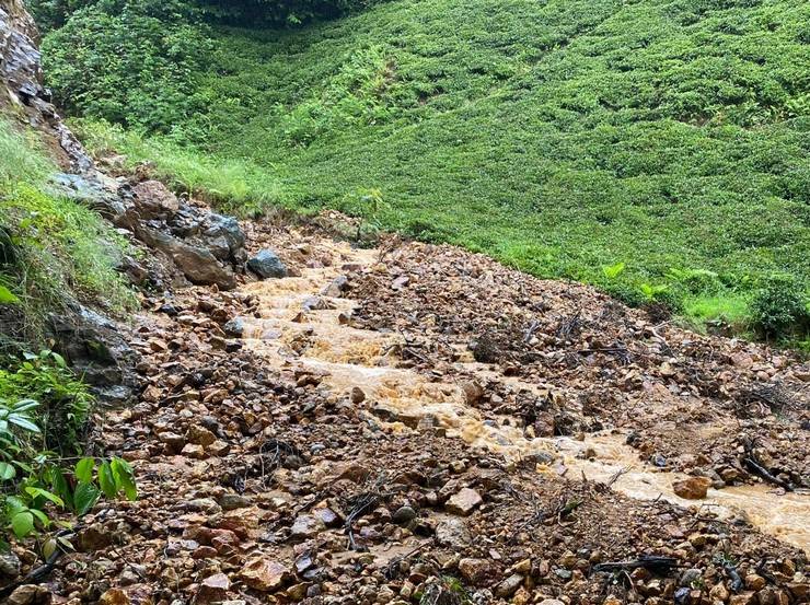 Artvin'de şiddetli yağış etkili oldu 15