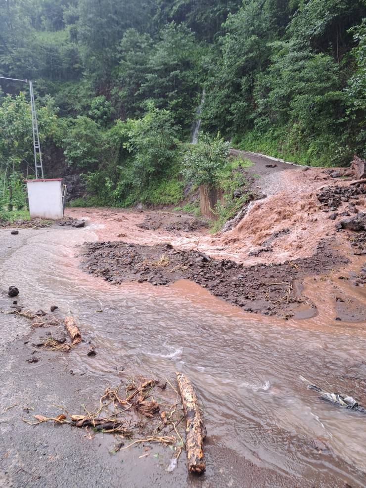 Artvin'de şiddetli yağış etkili oldu 16