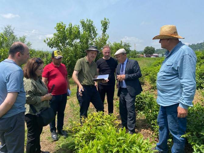 Recep Tayyip Erdoğan Üniversitesi Çay İhtisaslaşma Koordinatörlüğü Tarafından Azerbaycan'a Teknik Gezi Düzenlendi 1