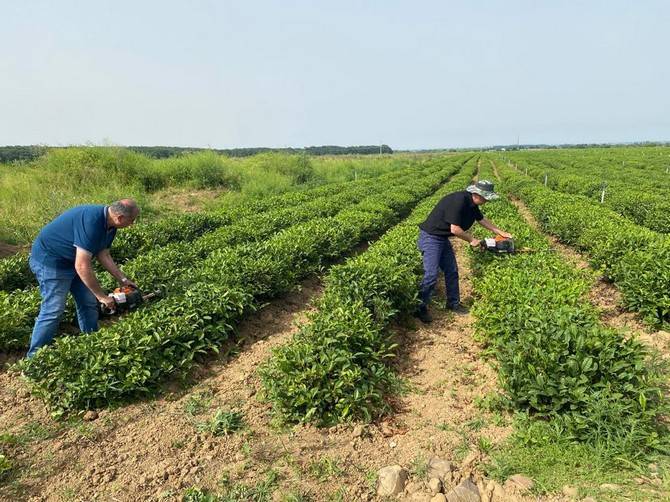 Recep Tayyip Erdoğan Üniversitesi Çay İhtisaslaşma Koordinatörlüğü Tarafından Azerbaycan'a Teknik Gezi Düzenlendi 10