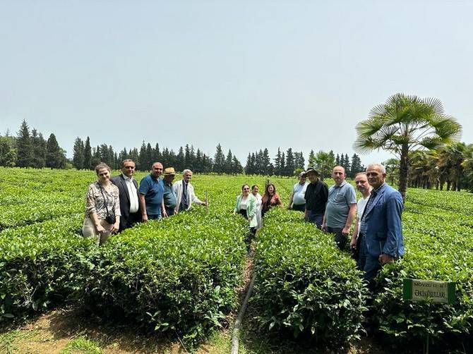 Recep Tayyip Erdoğan Üniversitesi Çay İhtisaslaşma Koordinatörlüğü Tarafından Azerbaycan'a Teknik Gezi Düzenlendi 11