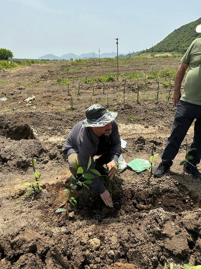 Recep Tayyip Erdoğan Üniversitesi Çay İhtisaslaşma Koordinatörlüğü Tarafından Azerbaycan'a Teknik Gezi Düzenlendi 15