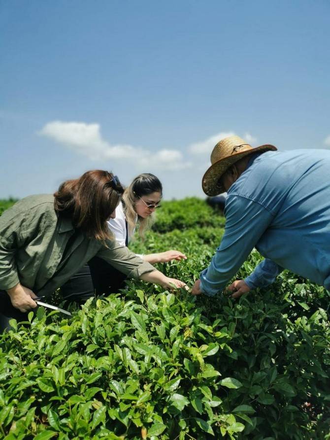 Recep Tayyip Erdoğan Üniversitesi Çay İhtisaslaşma Koordinatörlüğü Tarafından Azerbaycan'a Teknik Gezi Düzenlendi 2