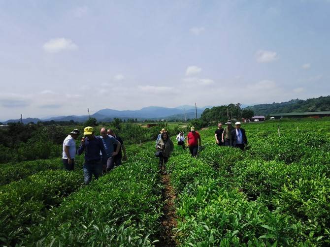 Recep Tayyip Erdoğan Üniversitesi Çay İhtisaslaşma Koordinatörlüğü Tarafından Azerbaycan'a Teknik Gezi Düzenlendi 3
