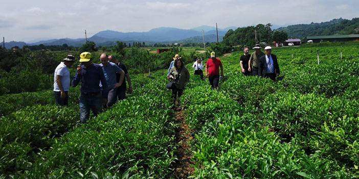 Recep Tayyip Erdoğan Üniversitesi Çay İhtisaslaşma Koordinatörlüğü Tarafından Azerbaycan'a Teknik Gezi Düzenlendi