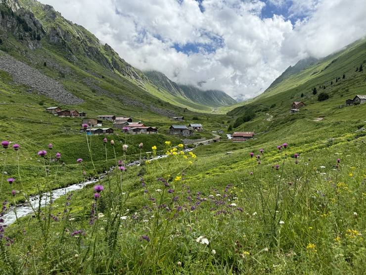 Kaçkar'daki yaylanın kadınları yarım asırdır hayvancılık yapıyor 12