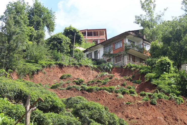 Çay bahçelerinde 'pasif drenaj' heyelanları tetikliyor 3