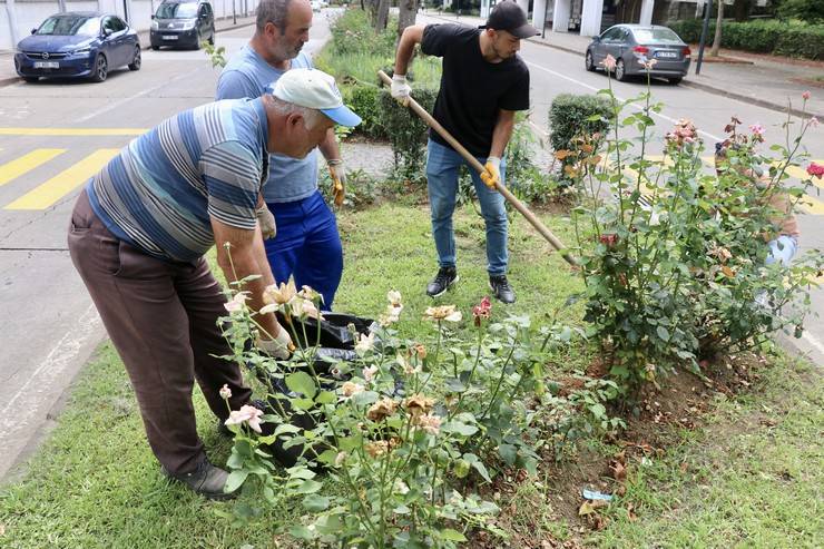 Karadeniz Teknik Üniversitesinde organik atıklardan yılda 6,5 ton gübre üretilecek 13