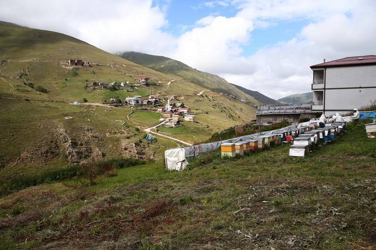 Dünyaca ünlü Anzer balının üretimi için mühürlenen peteklerden numune alındı 6