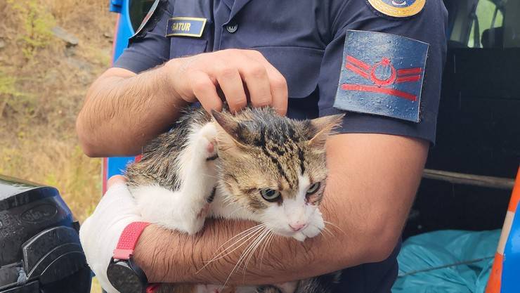 Zonguldak'ta otobüsle kamyonun çarpıştığı kazada 2 kişi öldü, 23 kişi yaralandı 11