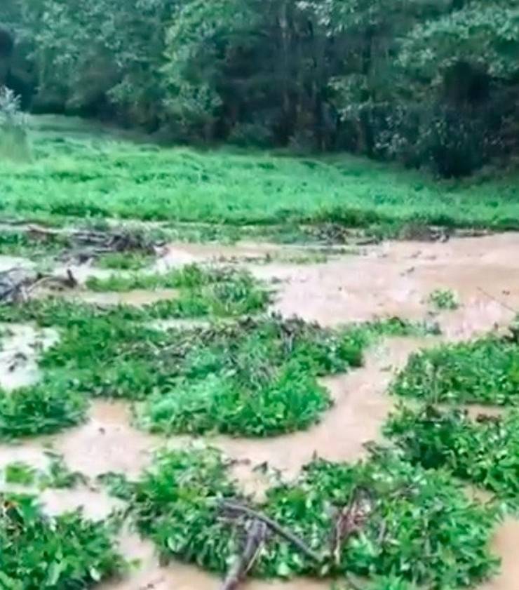 Rize'de selde bahçedeki çayları kurtarma çabası kamerada 2