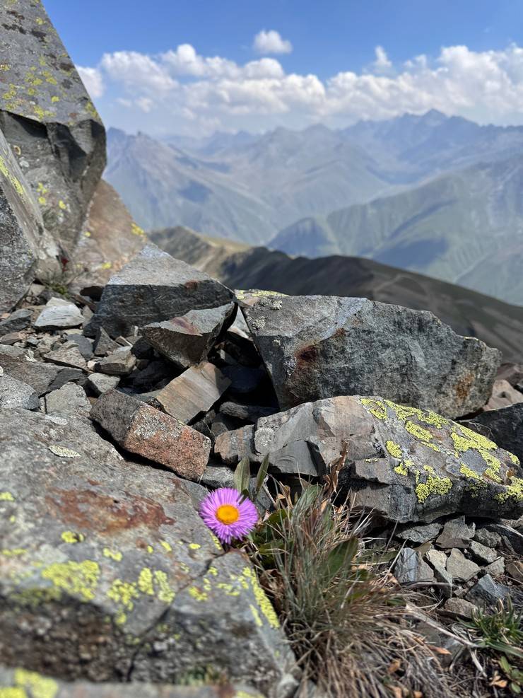 Karadeniz'in bulutların üzerindeki yerleşim yeri: Tahpur Yaylası 6