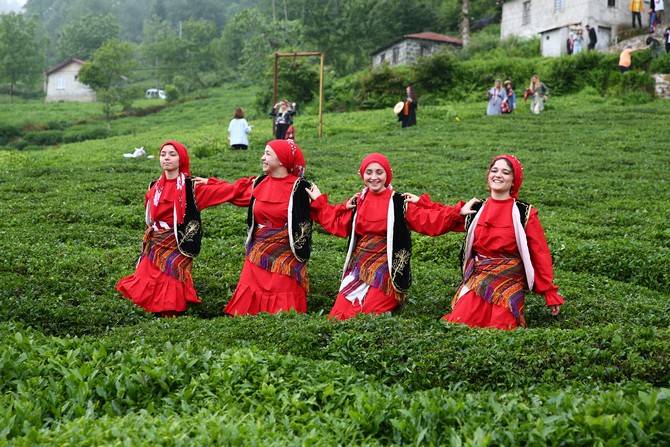 Giresun’da kemençe ve horon eşliğinde çay hasat şenliği yapıldı 13