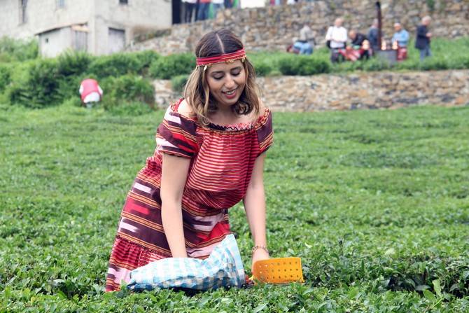Giresun’da kemençe ve horon eşliğinde çay hasat şenliği yapıldı 7