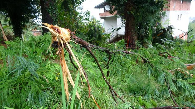 Rize'de yıldırım düşen mezarlığın yakınındaki evde hasar oluştu 3