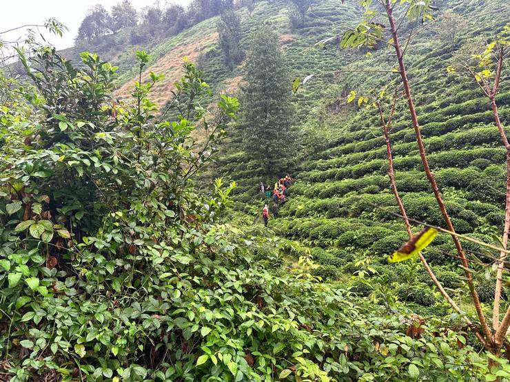 Rize’de dereye yuvarlanan aracın sürücüsü yaralandı 10