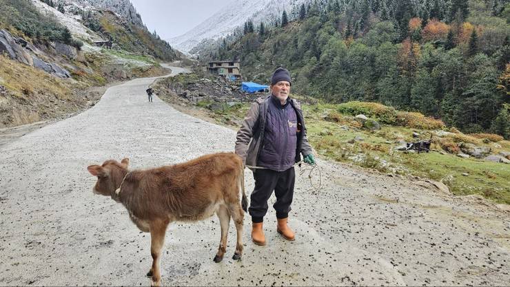 Rize'de yaylacıların köye dönüş yolculuğu devam ediyor 1