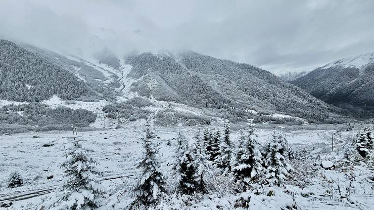 Rize'de yaylacıların köye dönüş yolculuğu devam ediyor 10