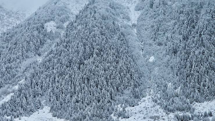 Rize'de yaylacıların köye dönüş yolculuğu devam ediyor 7