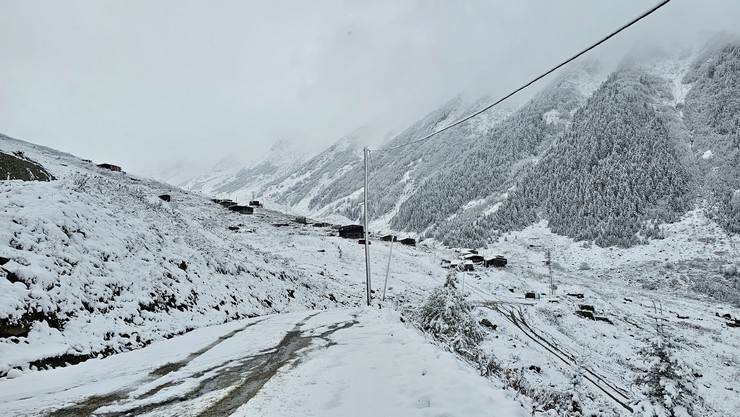 Rize'de yaylacıların köye dönüş yolculuğu devam ediyor 9