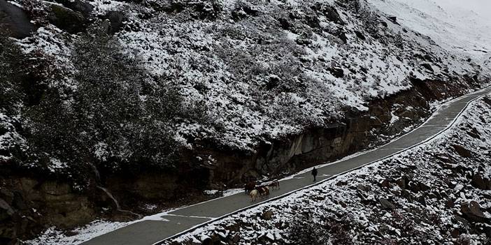 Rize'de yaylacıların köye dönüş yolculuğu devam ediyor