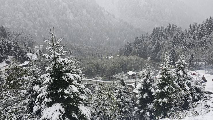 Rize'nin yüksek kesimlerinde kar etkili oldu 1