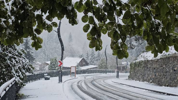 Rize'nin yüksek kesimlerinde kar etkili oldu 9