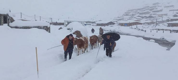 Rize'nin yaylalarda beyaz güzellik; geri dönüş hızlandı 1