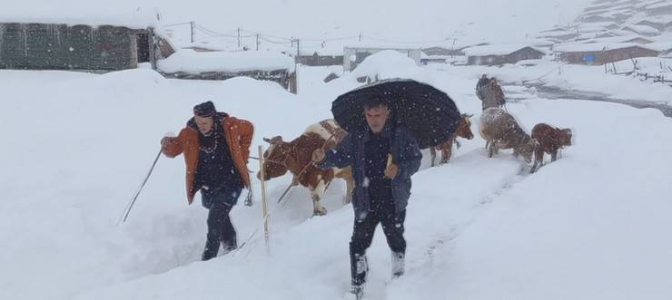 Rize'nin yaylalarda beyaz güzellik; geri dönüş hızlandı 2