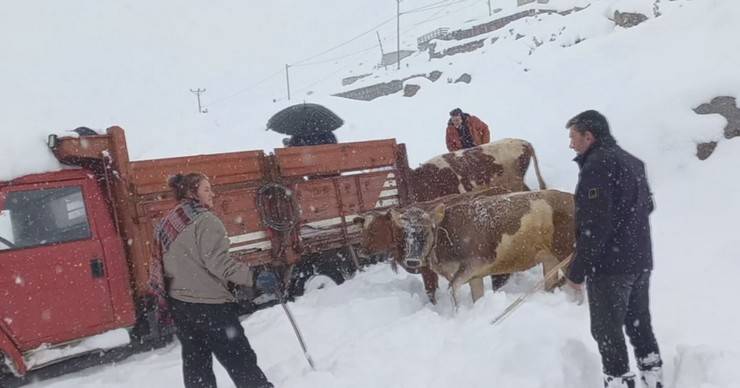 Rize'nin yaylalarda beyaz güzellik; geri dönüş hızlandı 3