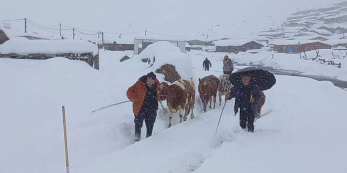 Rize'nin yaylalarda beyaz güzellik; geri dönüş hızlandı