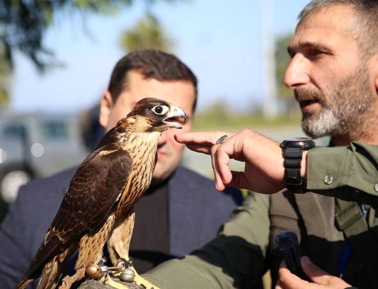 Rize'de atmaca güzellik ve beceri yarışması düzenlendi 14