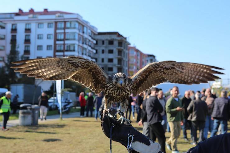 Rize'de atmaca güzellik ve beceri yarışması düzenlendi 20