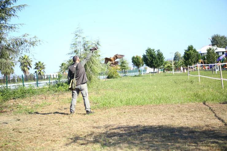 Rize'de atmaca güzellik ve beceri yarışması düzenlendi 32