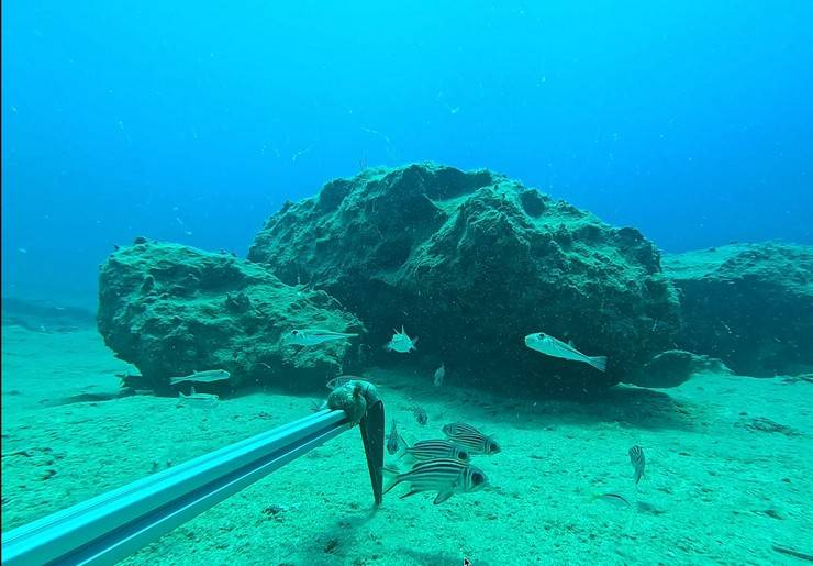 Karadeniz’de 'mikroplastik' tehlikesinde ‘nehir’ etkisi 14