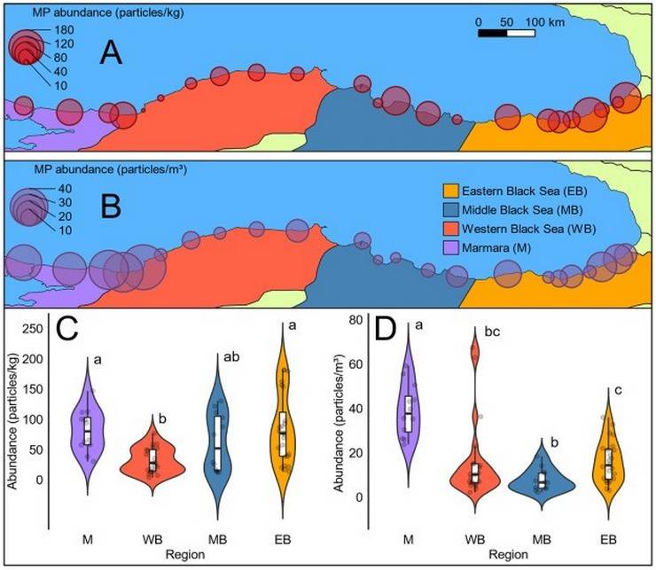 Karadeniz’de 'mikroplastik' tehlikesinde ‘nehir’ etkisi 5