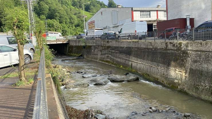 Rize’de derede balık ölümlerine inceleme 5