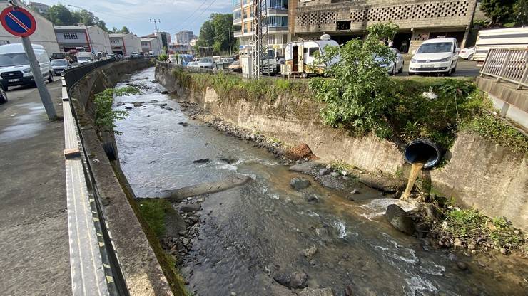Rize’de derede balık ölümlerine inceleme 7