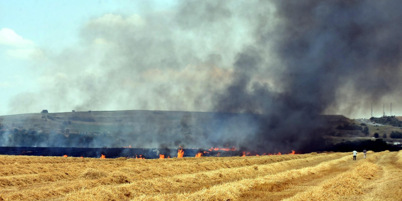 Trakya'da Yangınlarda 7 Bin 248 Dekar Tarım Alanı Zarar Gördü
