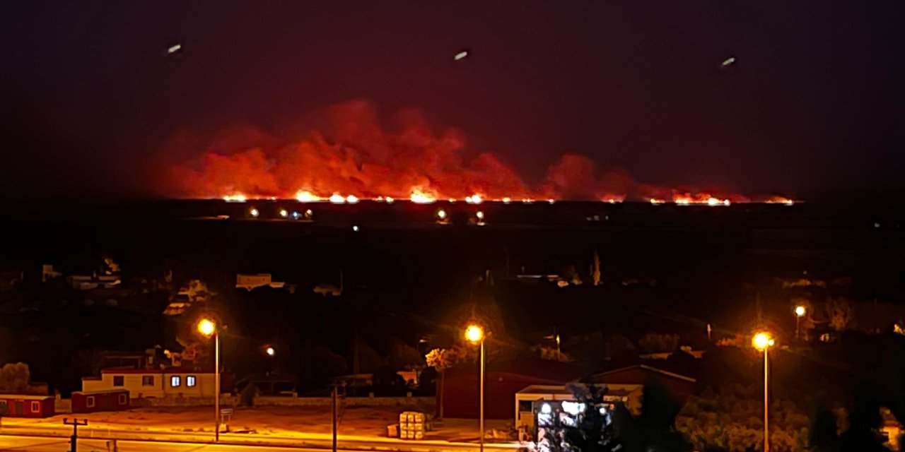 Göksu Deltası'nda sazlık yangını