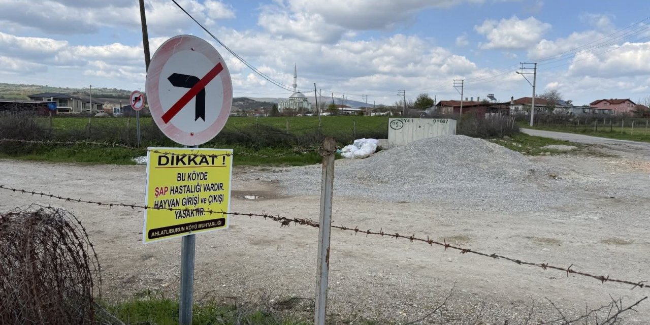 Çanakkale’de bir köye daha hayvan giriş çıkışları yasaklandı