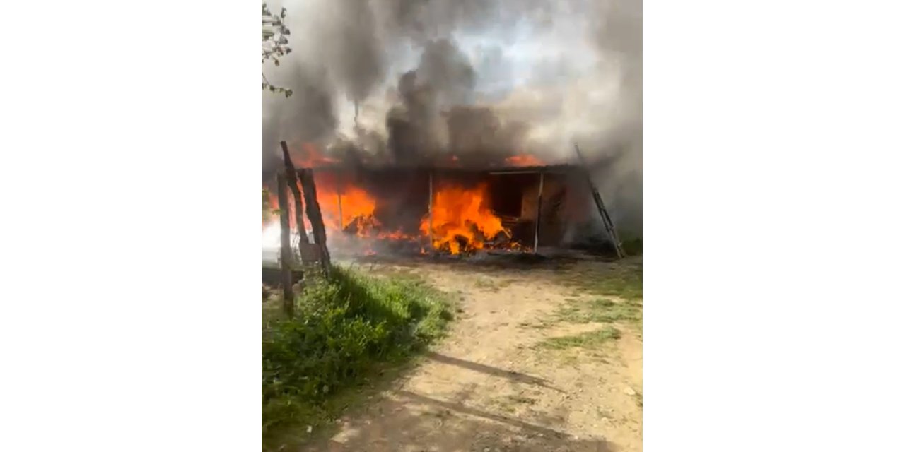 1 yıl önce eşi ölen 2 çocuk annesinin evi yandı, komşuları yardım çağrısında bulundu