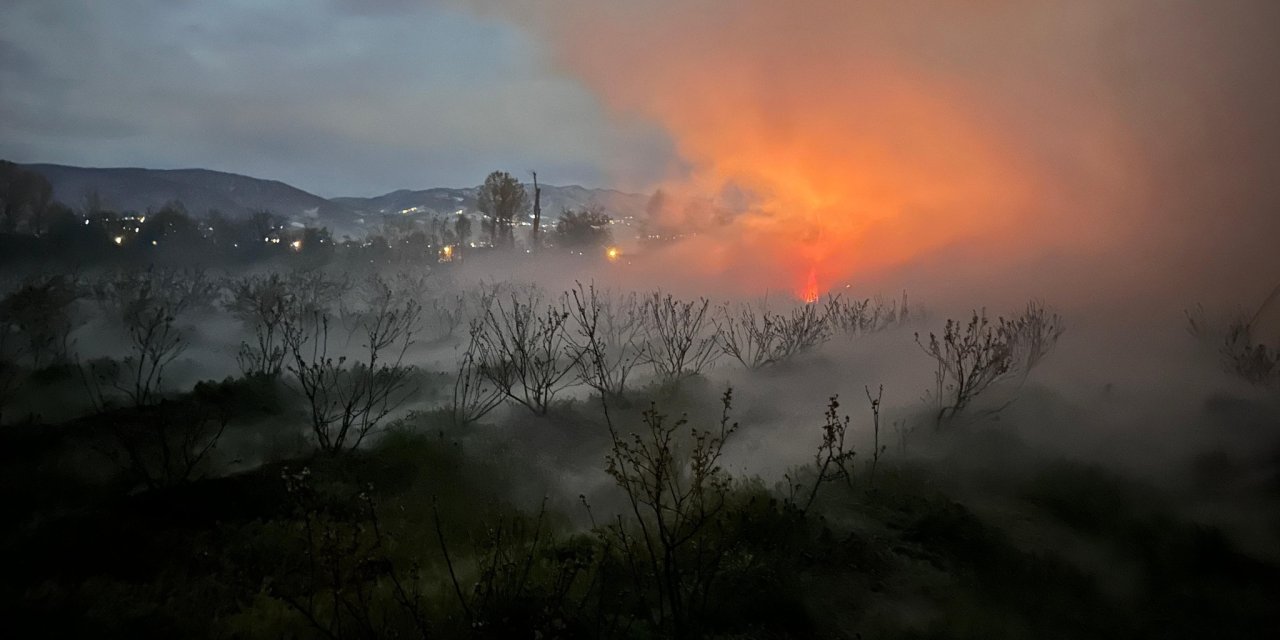 Düzce’de Fındık Bahçelerinde 'Don Ve Buzlanma' Ya Karşı Mücadele Başlatıldı
