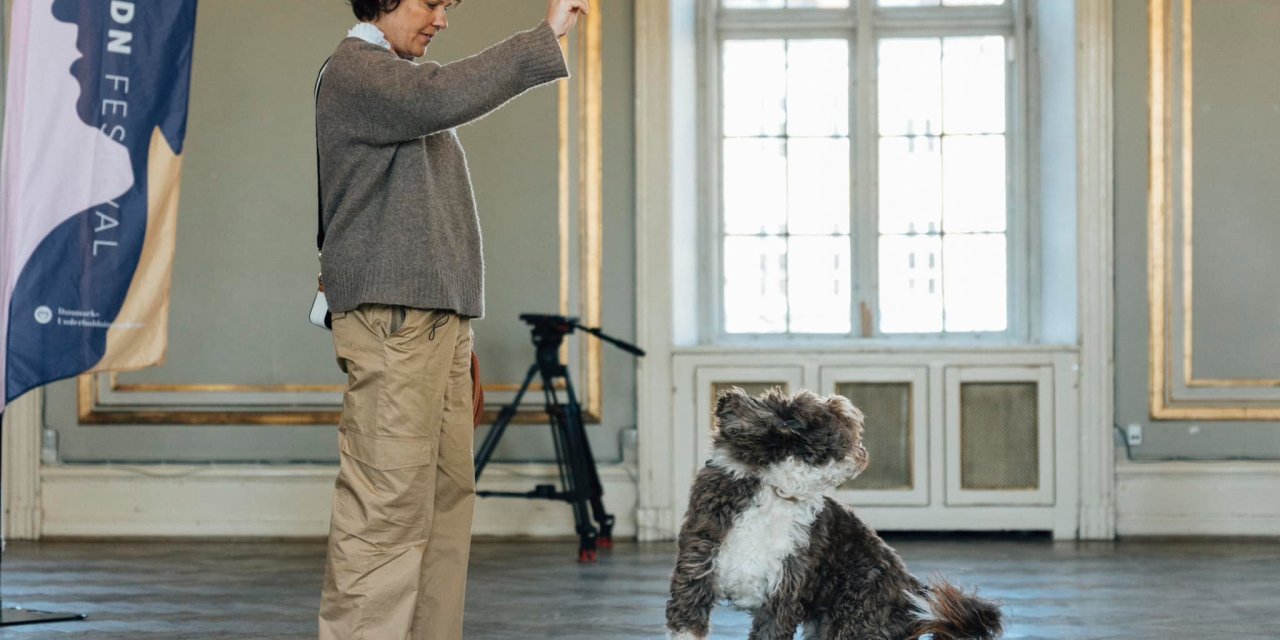 Danimarka’daki Klasik Müzik Festivalinde Orkestraya 3 Köpek Katıldı